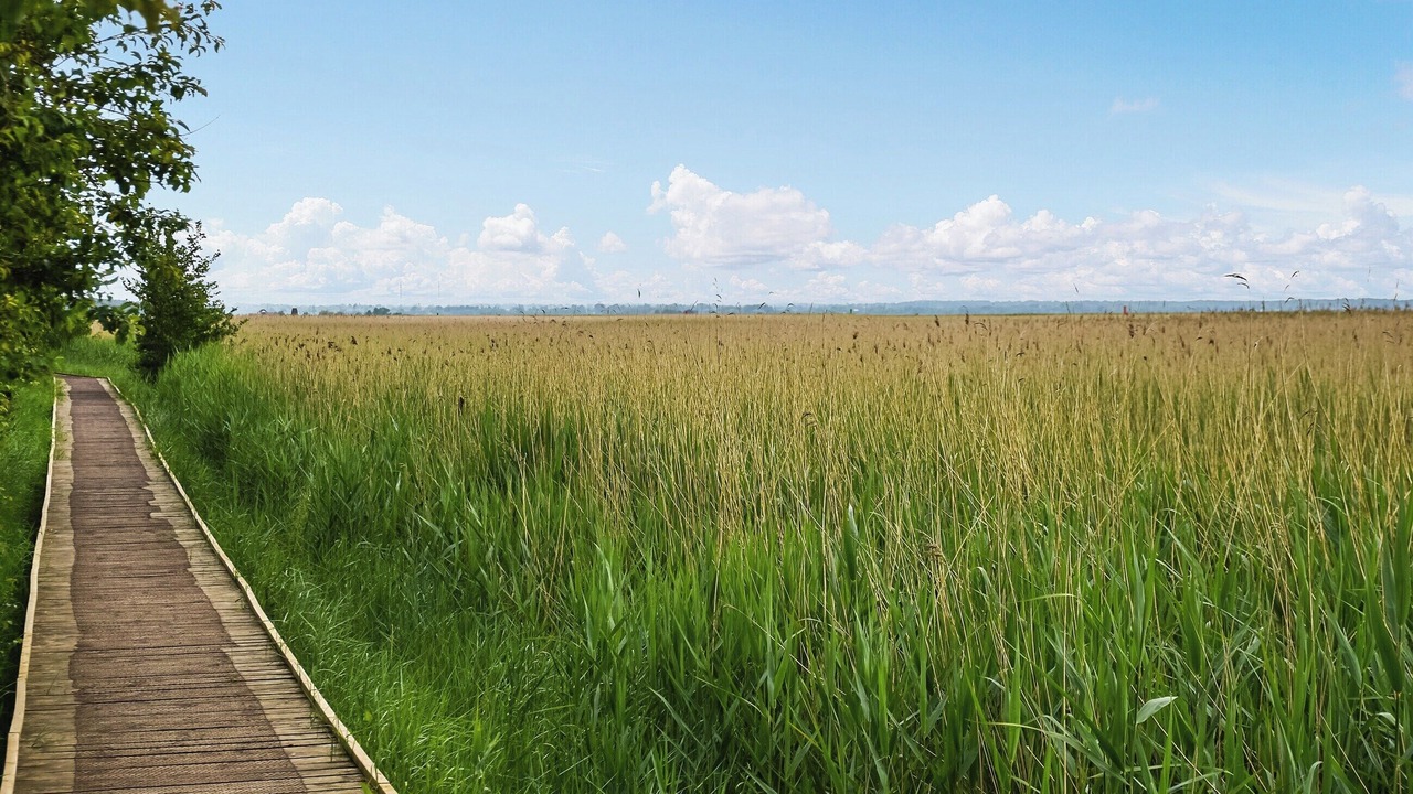 Photo of Others in Bradwell