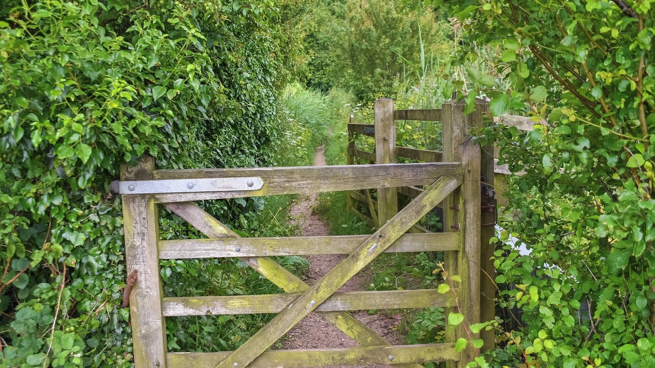 Photo of Others in Bradwell