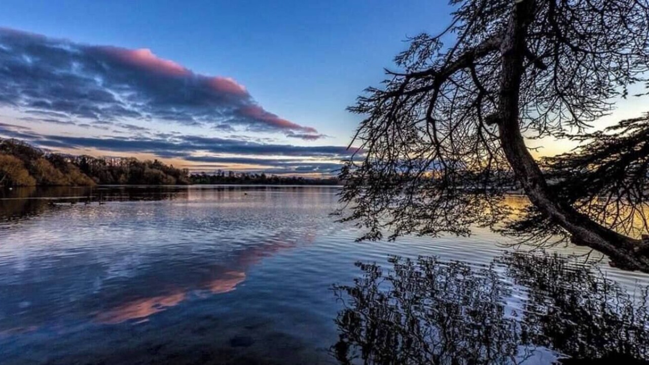 Photo of Others in Ellesmere