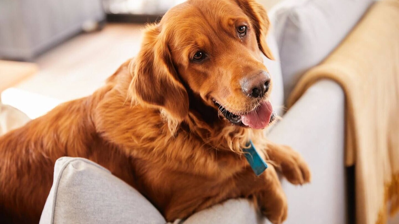 Photo of Others in Ellesmere