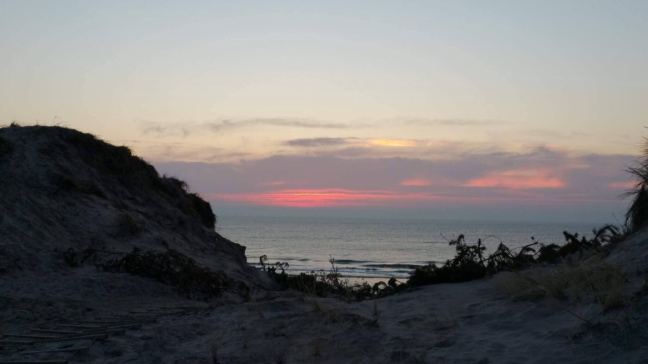 Photo of Others in Lodbjerg Hede