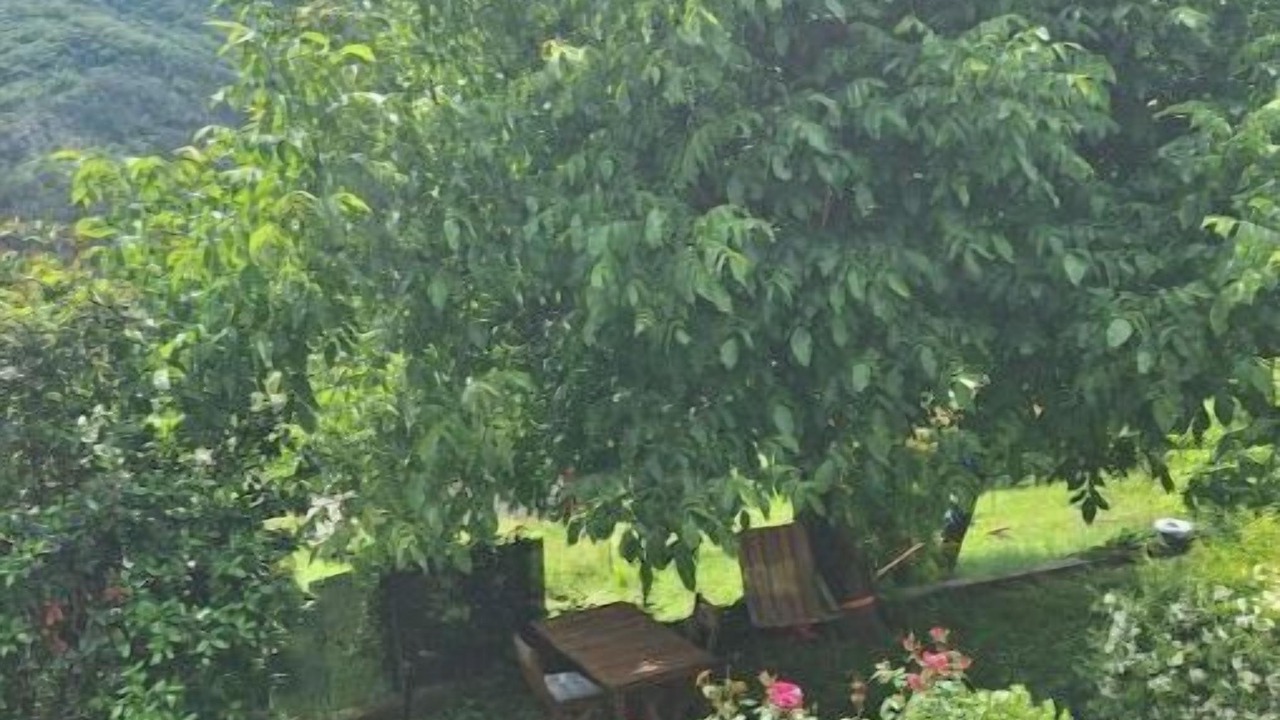 Photo of Outdoor in Villars-sur-Var