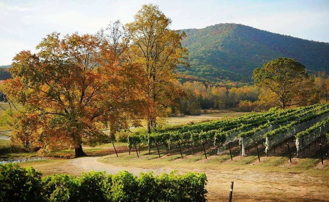 Photo of Others in Dahlonega