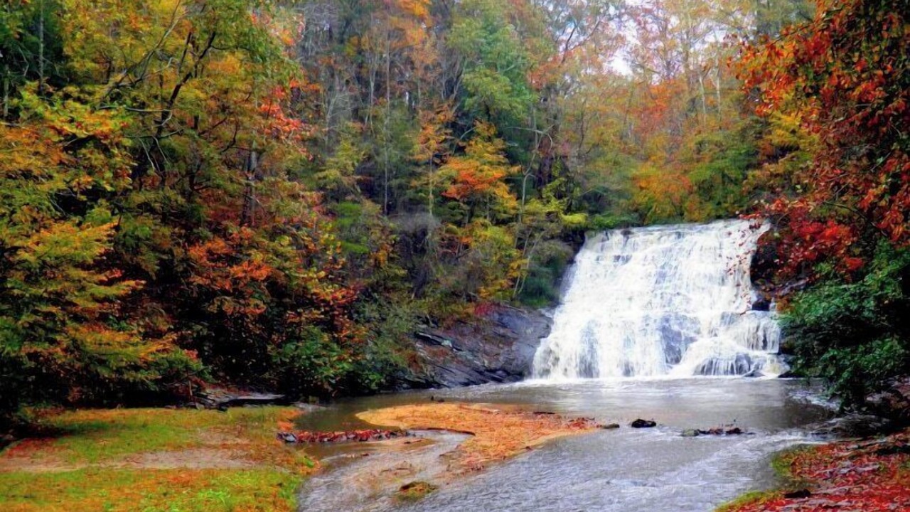 Photo of Others in Dahlonega
