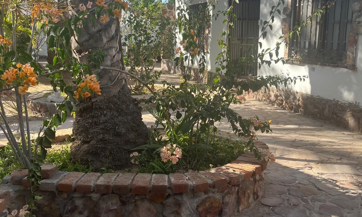 Photo of Outdoor in Mulege