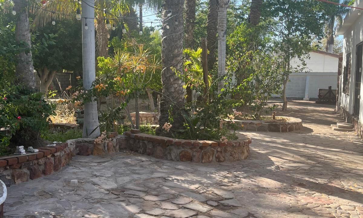 Photo of Outdoor in Mulege