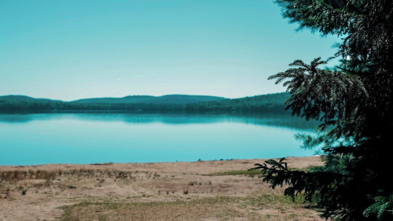 Photo of Others in Renton