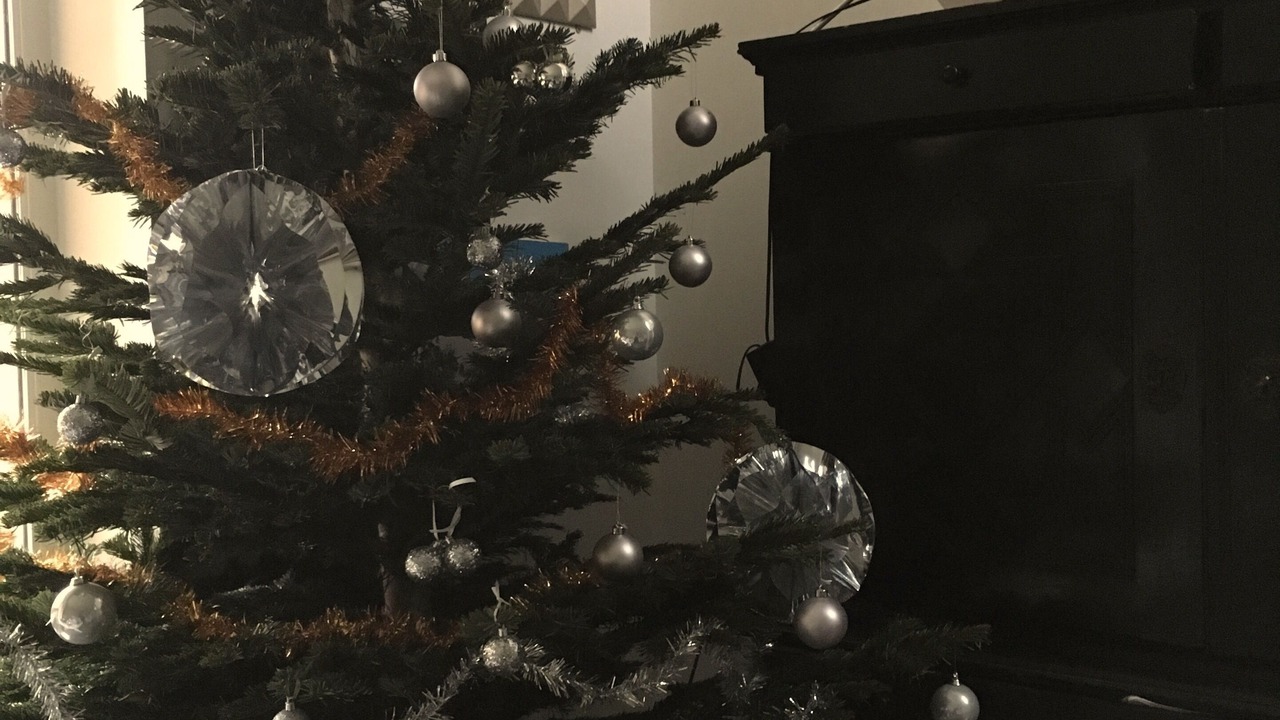 Photo of Others in La Sarra - Saint Just