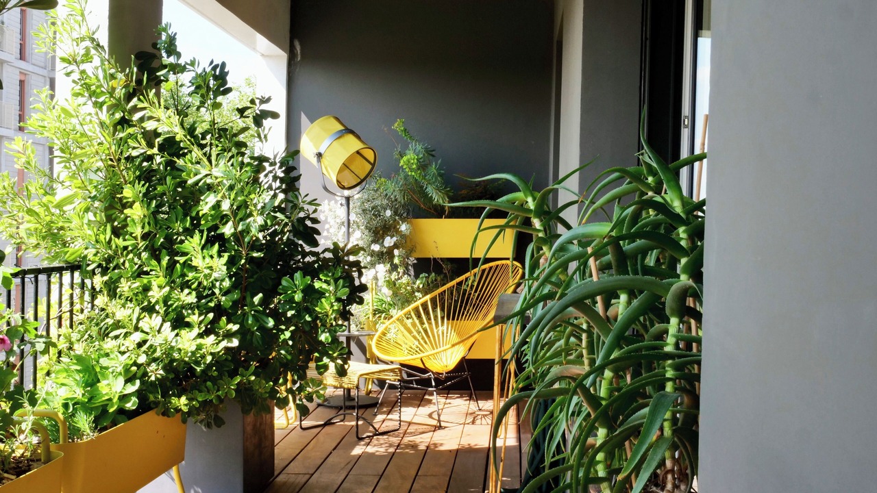 Photo of Patio Balcony in Sainte-Anne - Zone portuaire