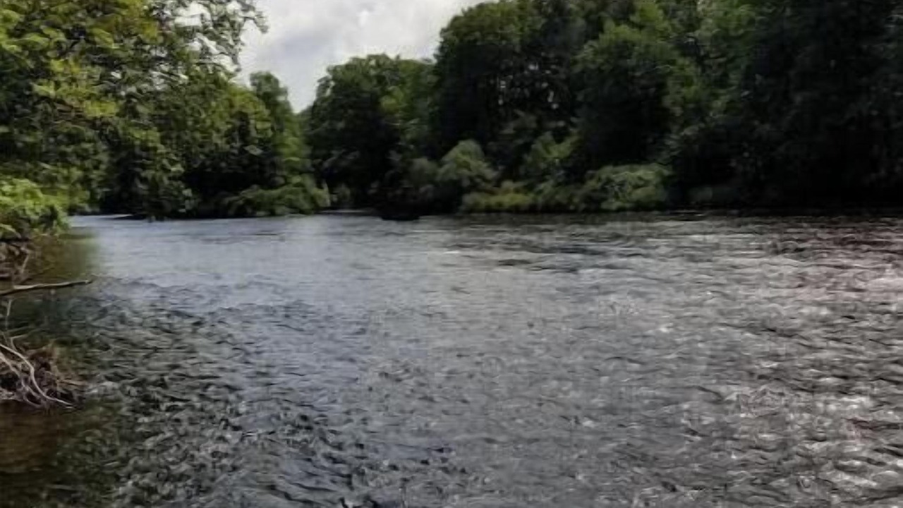 Photo of Others in Pulaski