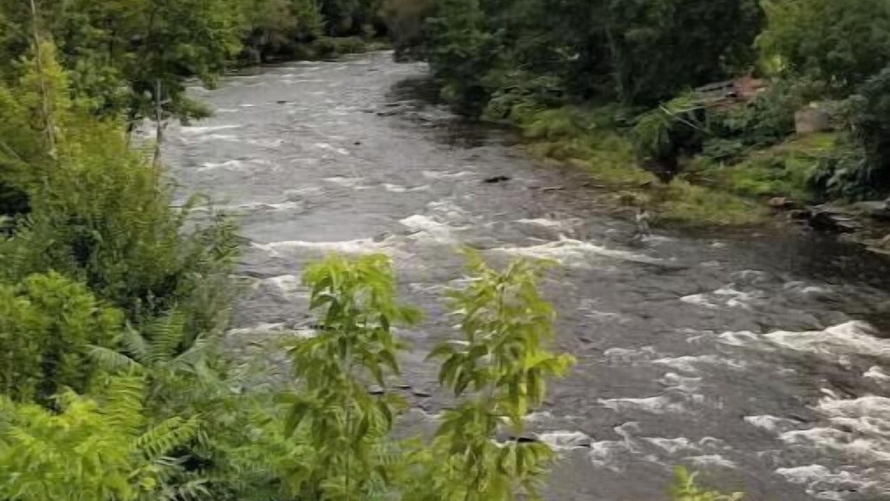 Photo of Others in Pulaski