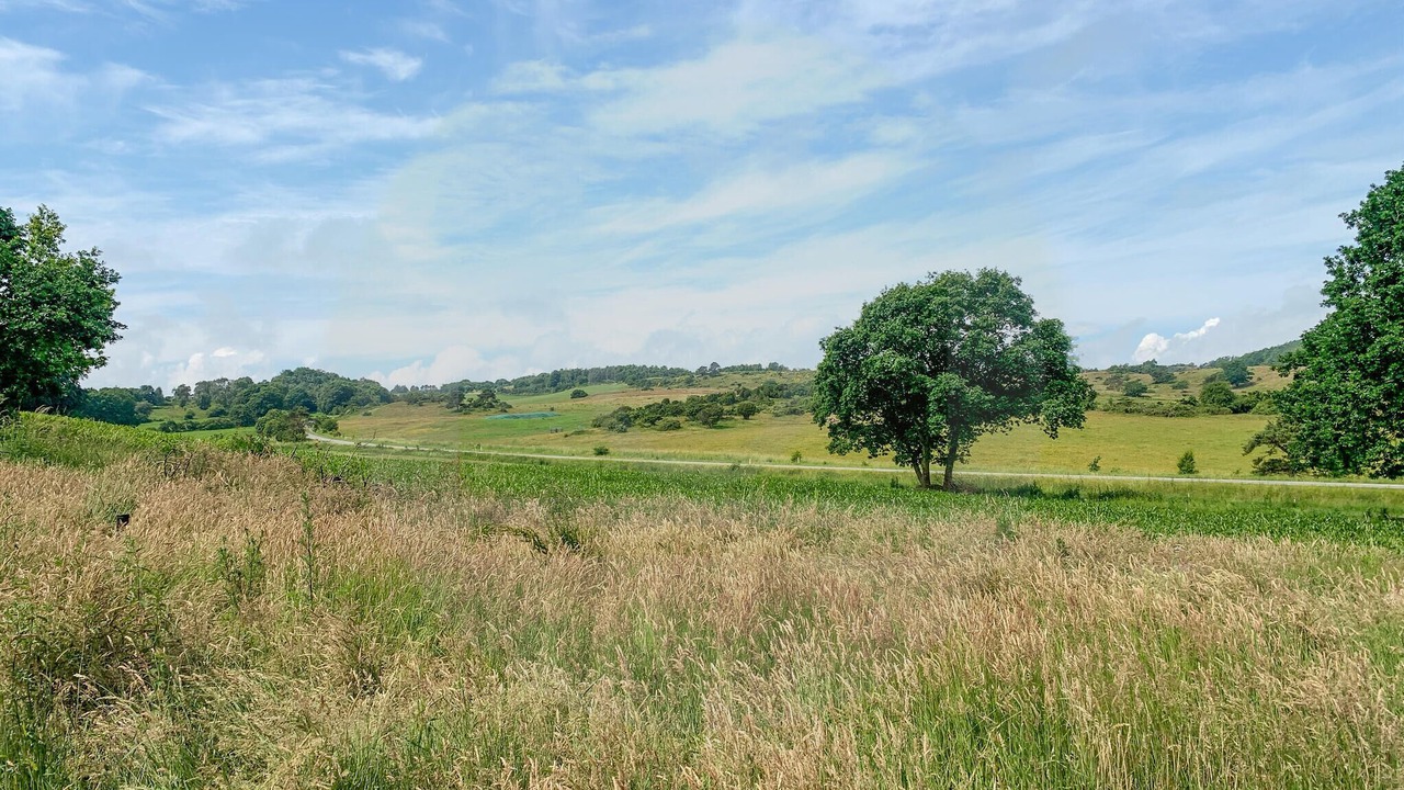 Photo of Bedroom in Ebeltoft