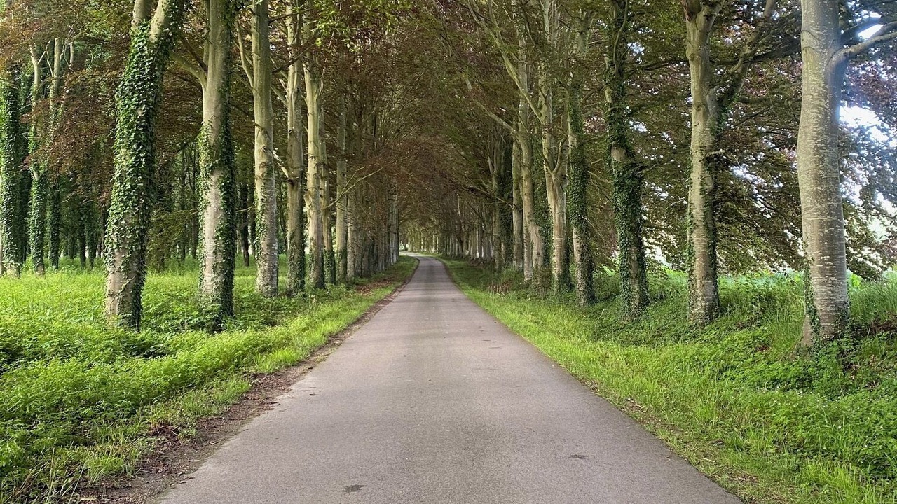 Photo of Outdoor in Villedieu-les-Bailleul
