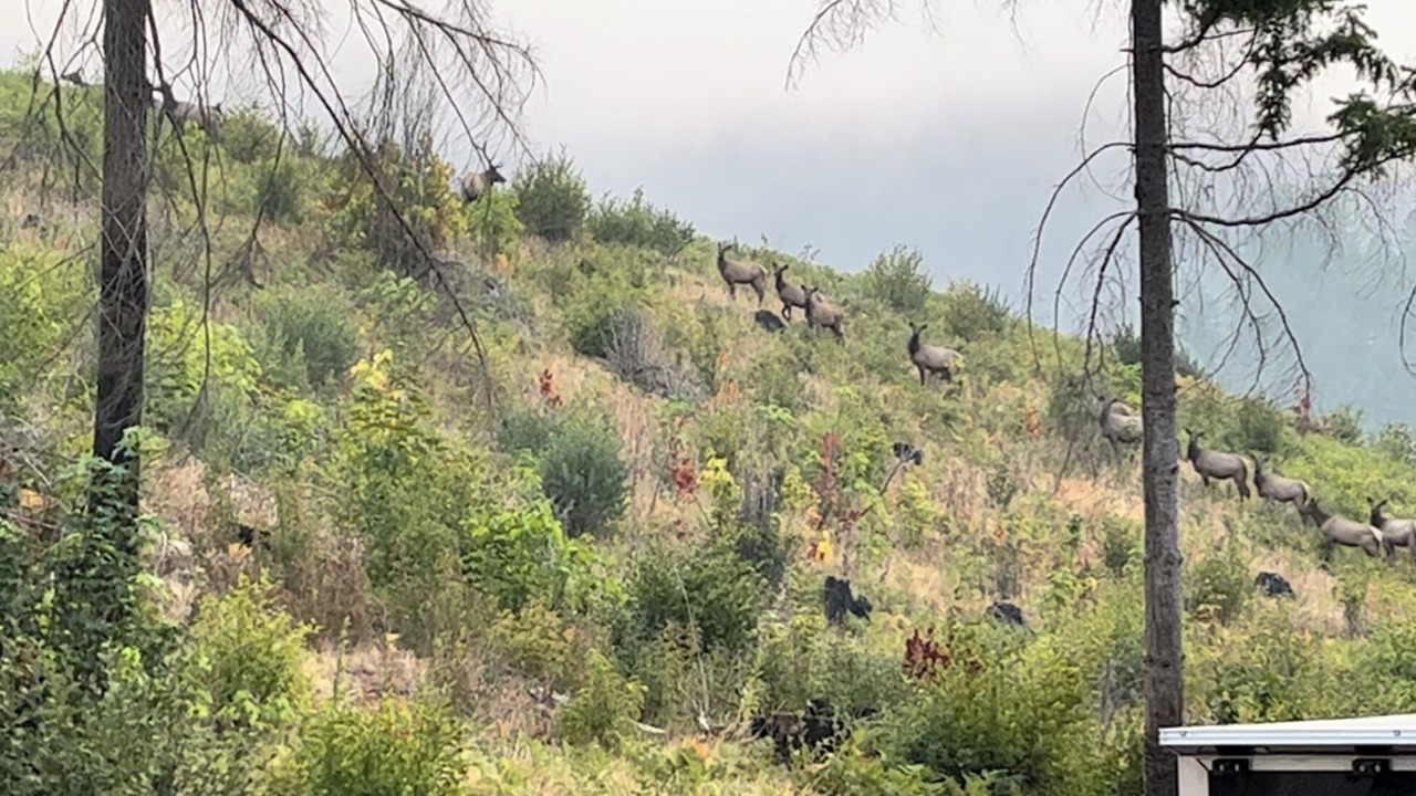 Photo of Others in Cascadia