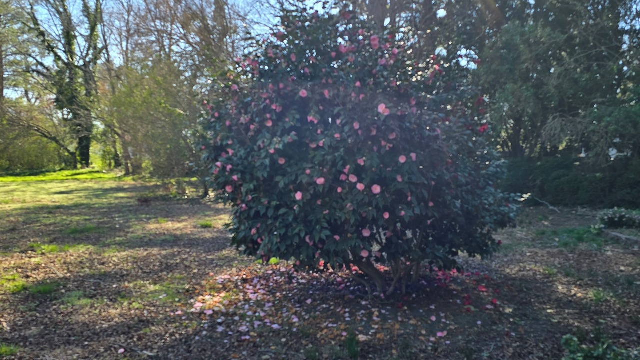 Photo of Outdoor in Onancock