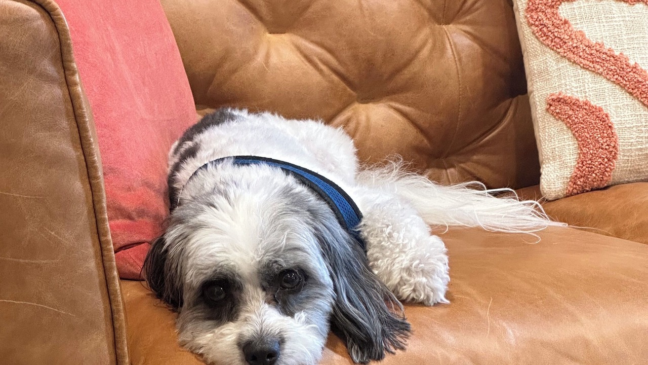 Photo of Others in Murphys