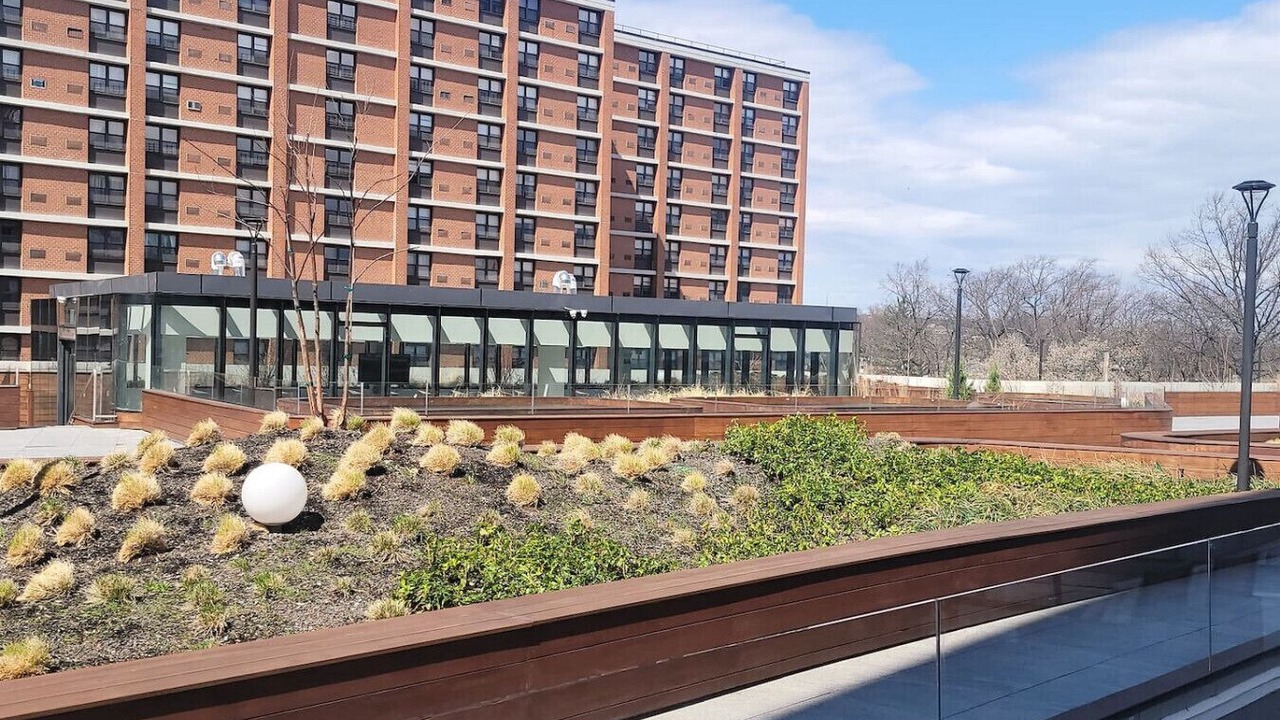 Photo of Others in East Orange