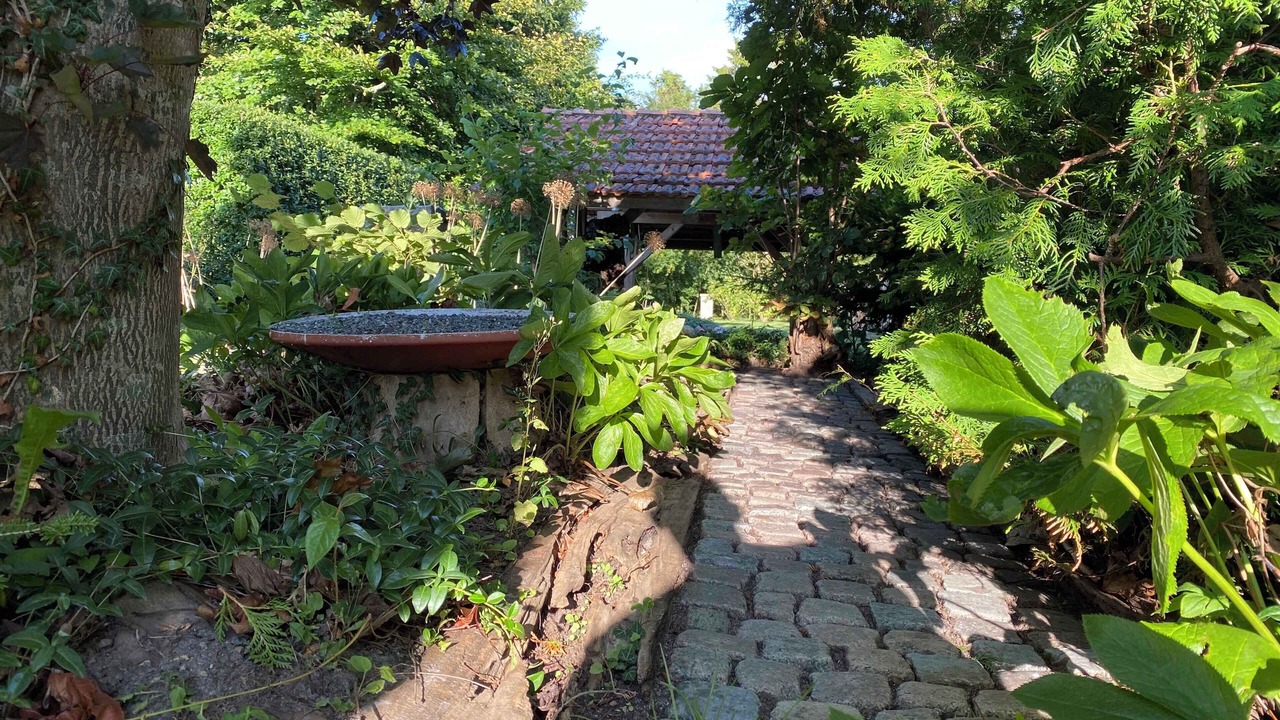 Photo of Others in Nakskov