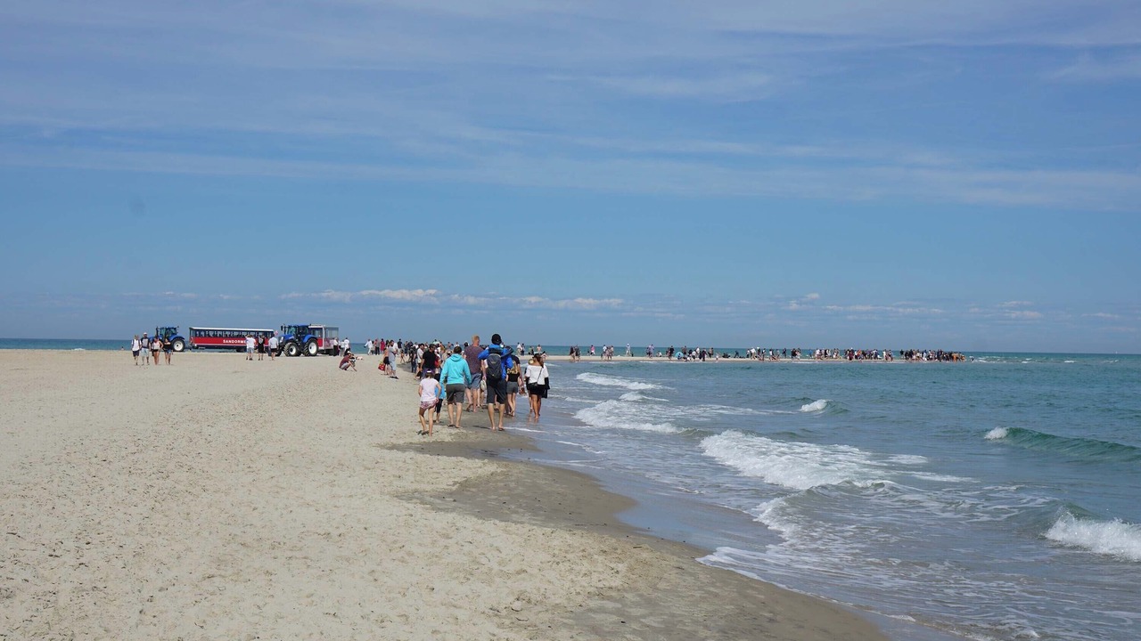 Photo of Others in Skagen