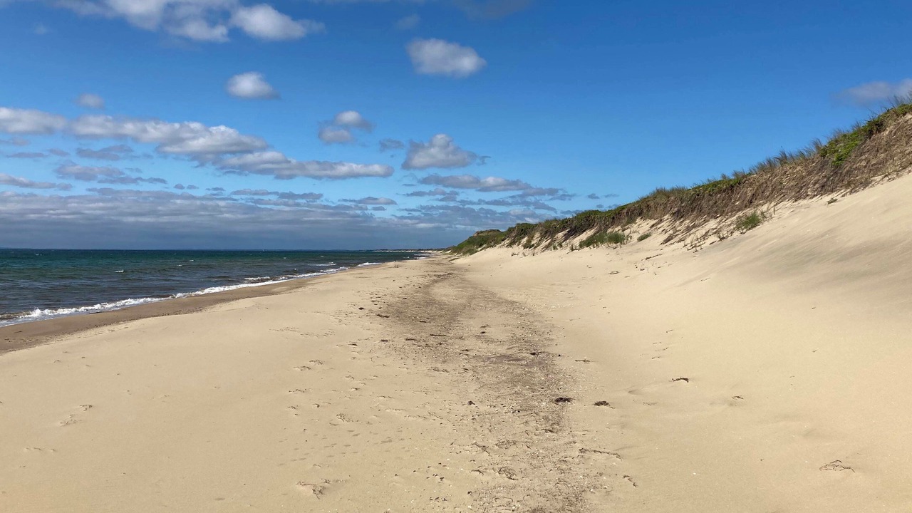 Photo of Others in Skagen