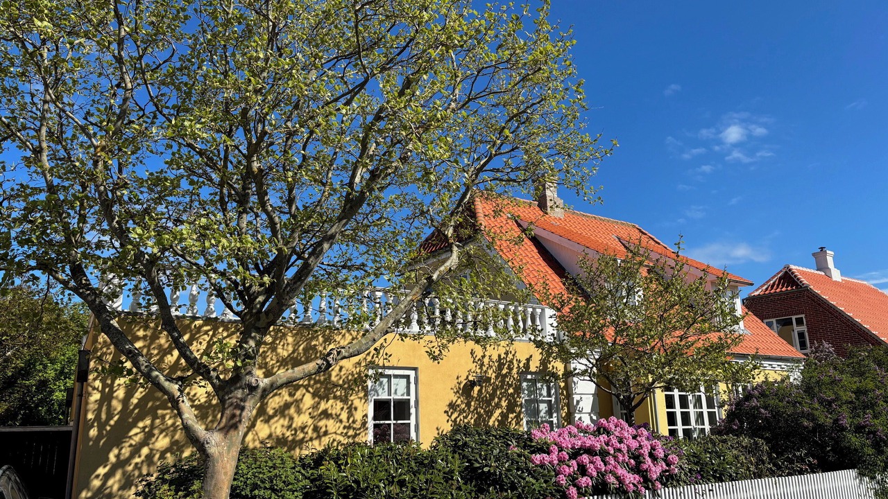 Photo of Others in Skagen