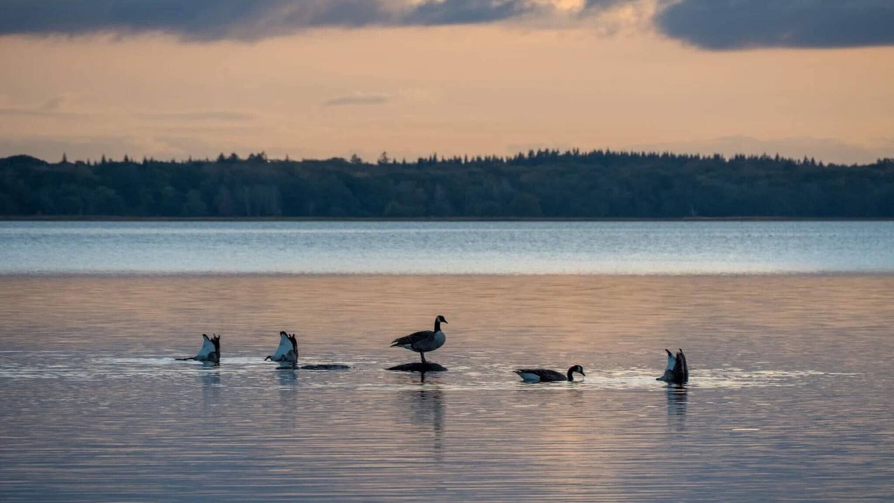 Photo of Others in Frederiksvaerk