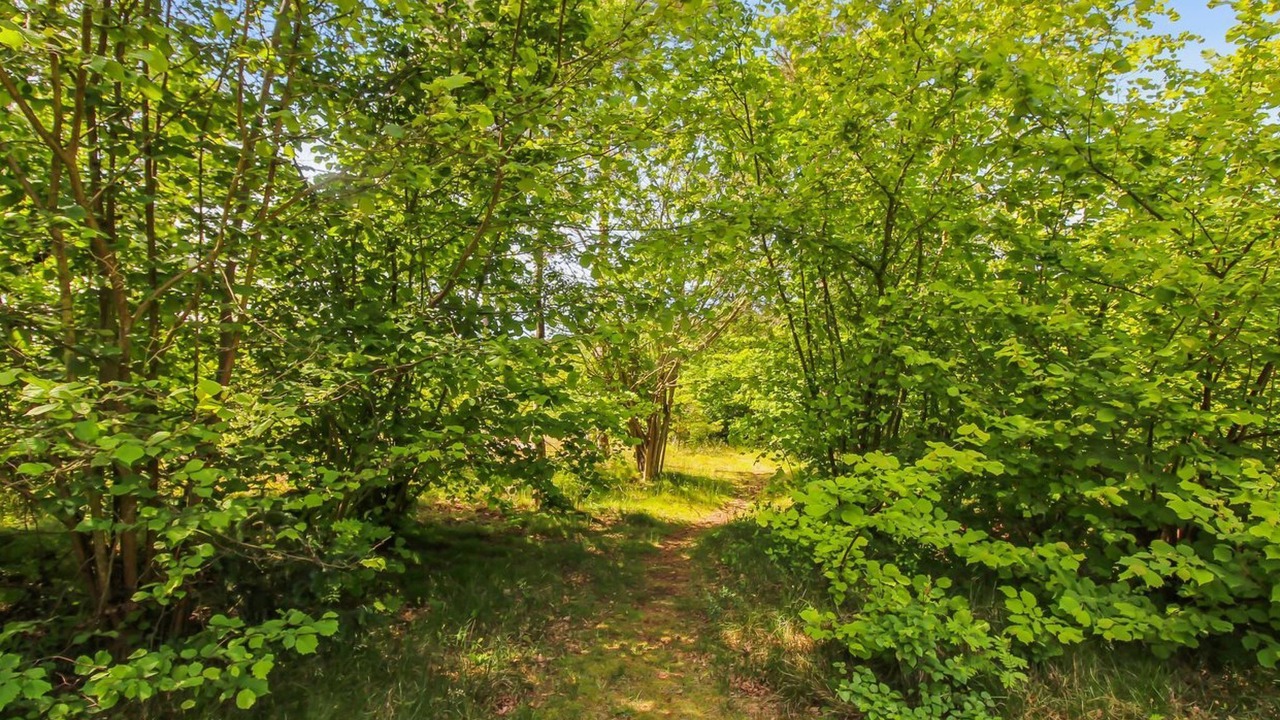 Photo of Others in Pedersker