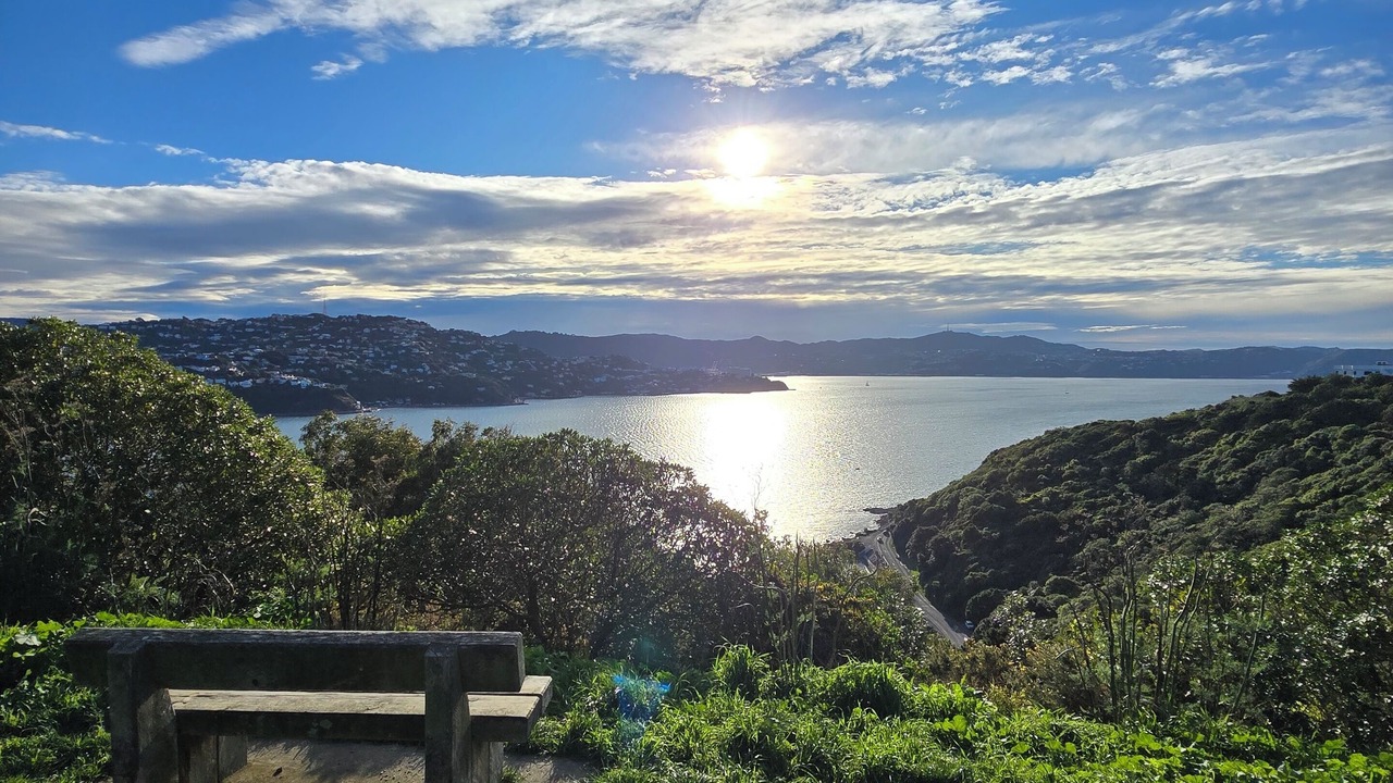 Photo of Others in Miramar