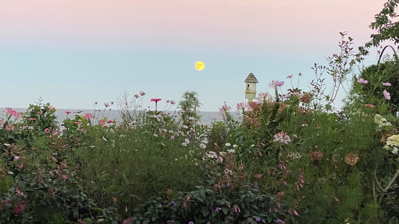 Photo of Outdoor in Siasconset