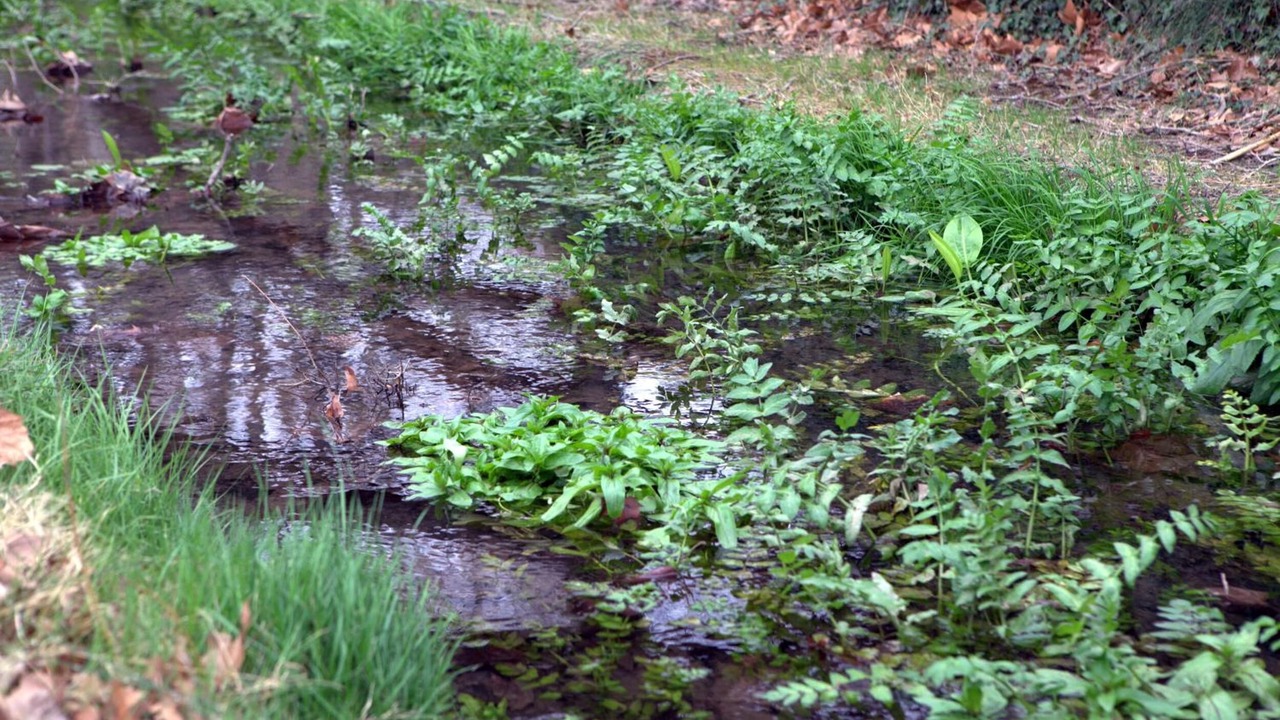 Photo of Outdoor in Benafer
