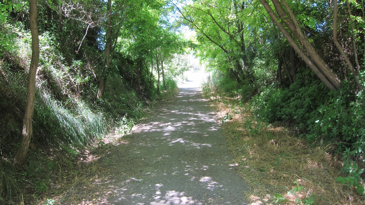 Photo of Outdoor in Benafer