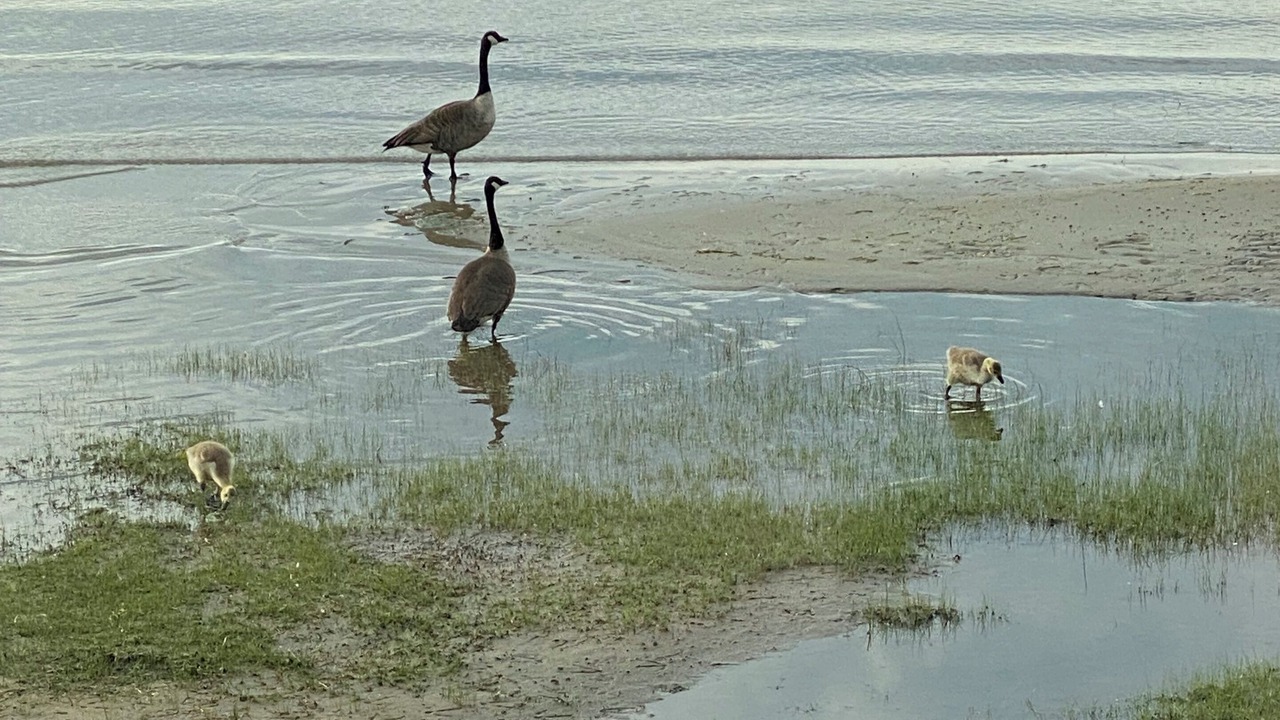 Photo of Outdoor in Shelburne