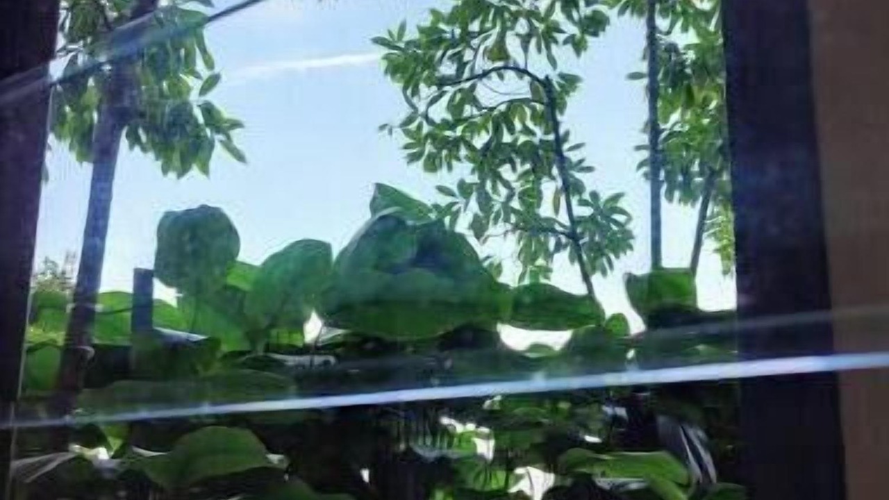 Photo of Others in Nusajaya