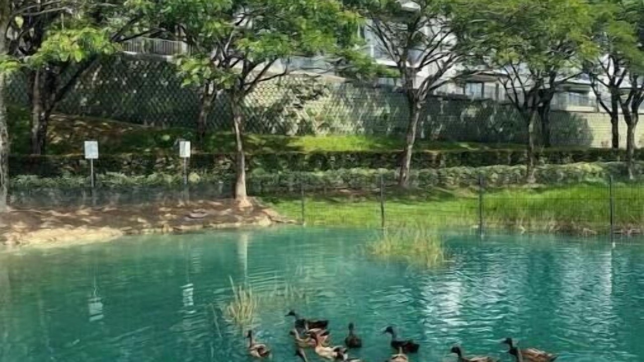 Photo of Others in Nusajaya