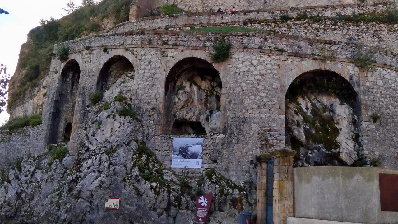 Photo of Others in Camon