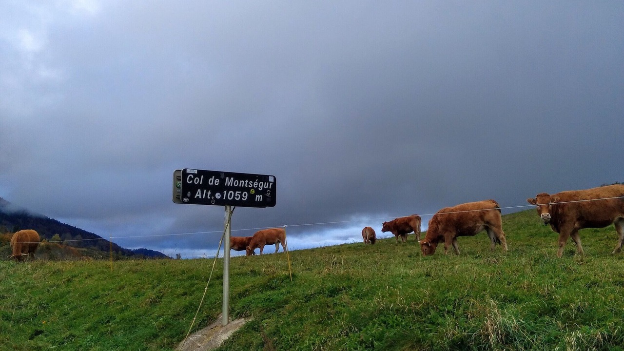 Photo of Others in Camon