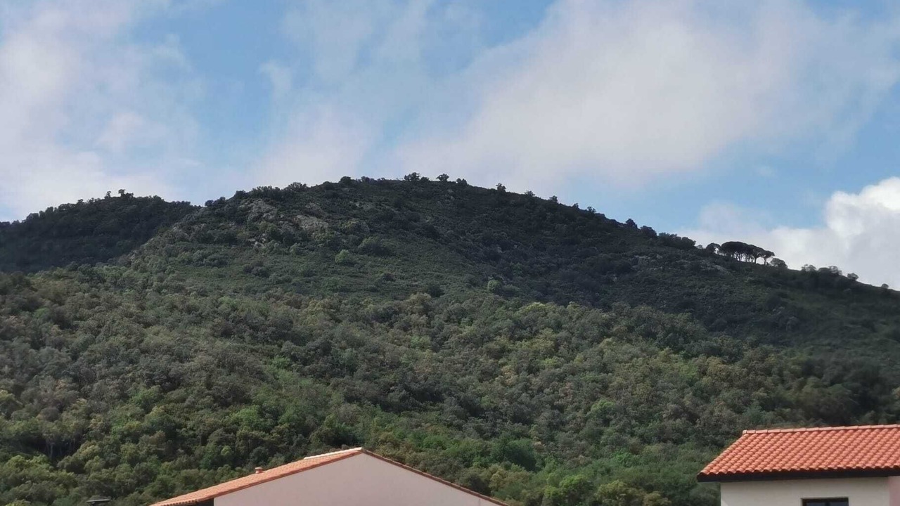Photo of Outdoor in Le Boulou