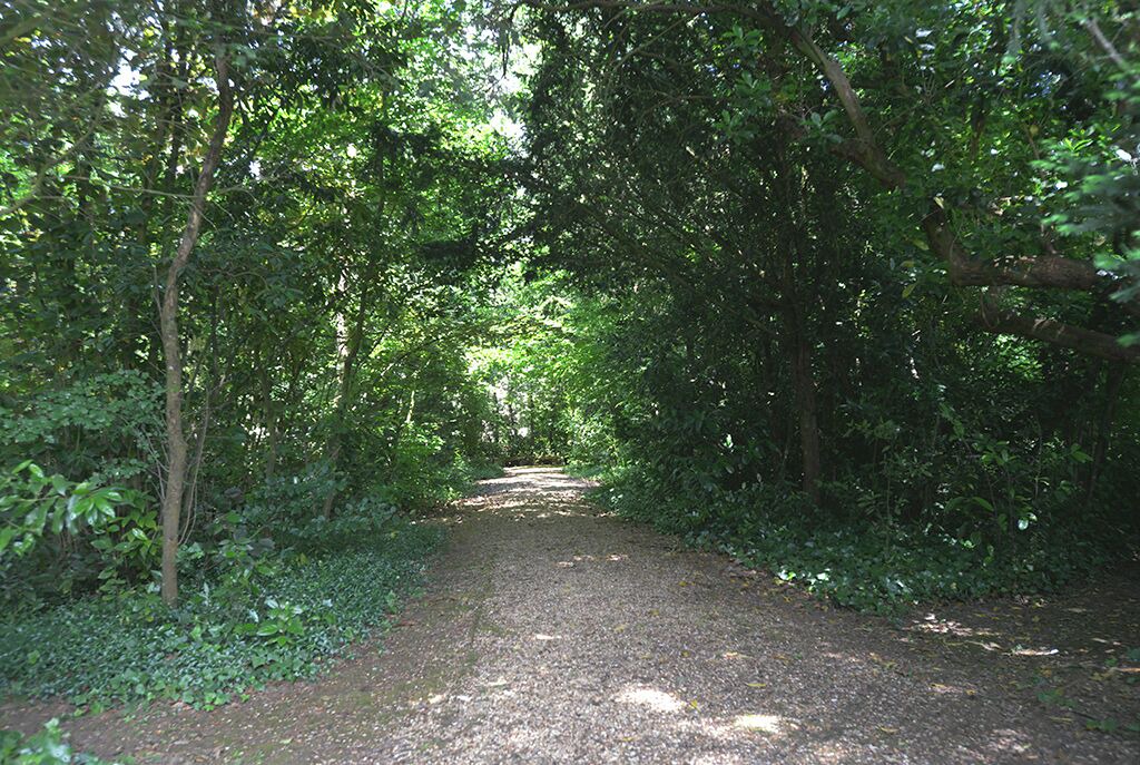 Photo of Outdoor in Les Rosiers-sur-Loire