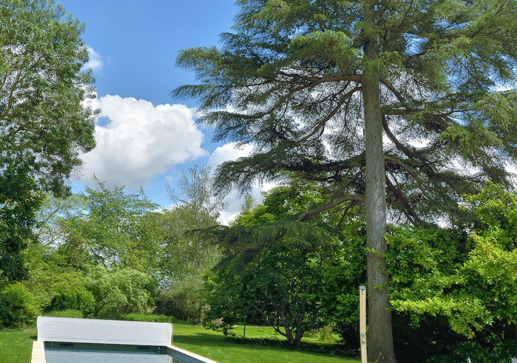 Photo of Outdoor in Les Rosiers-sur-Loire