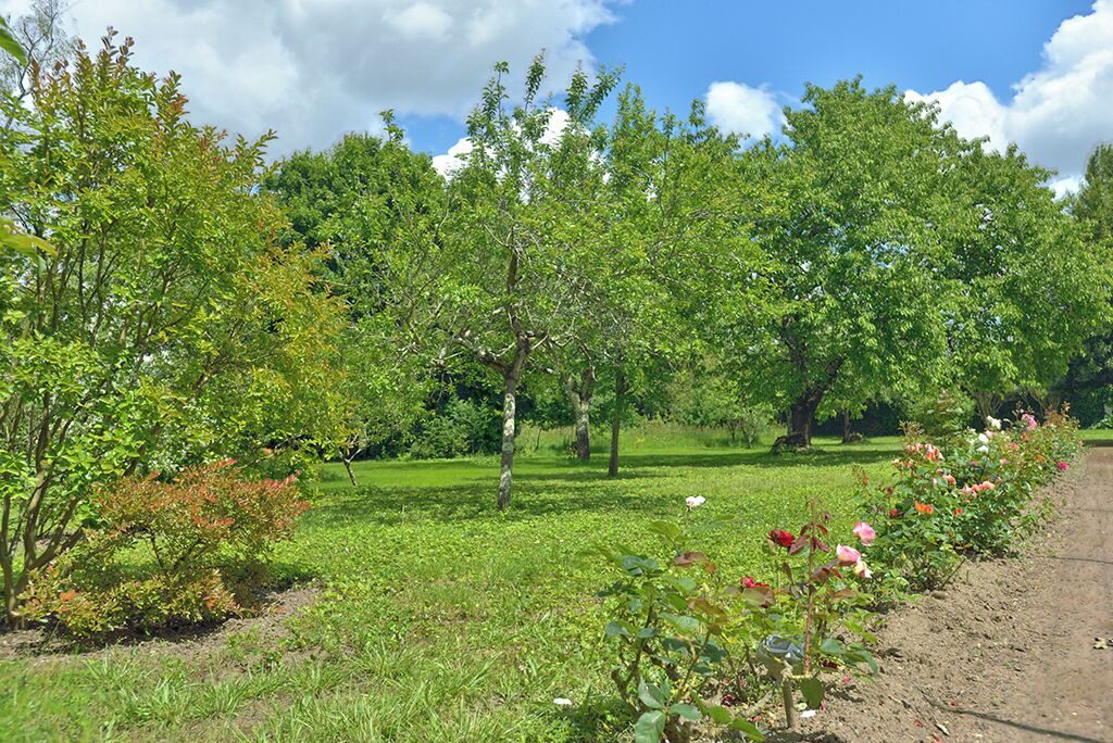 Photo of Outdoor in Les Rosiers-sur-Loire