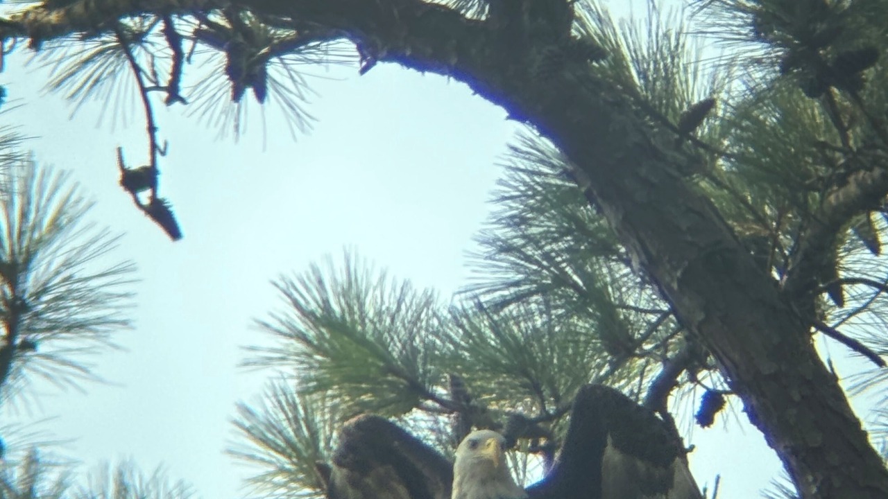 Photo of Others in Davis Wharf