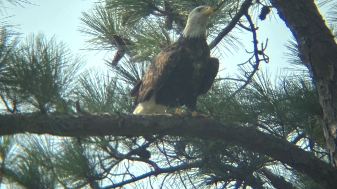 Photo of Others in Davis Wharf