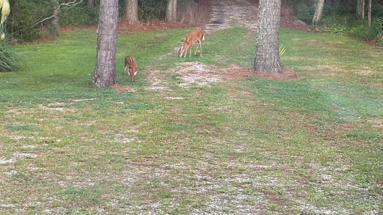 Photo of Outdoor in Davis Wharf