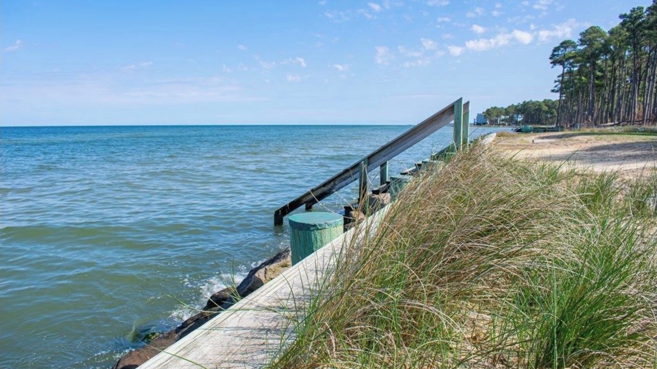 Photo of Outdoor in Davis Wharf