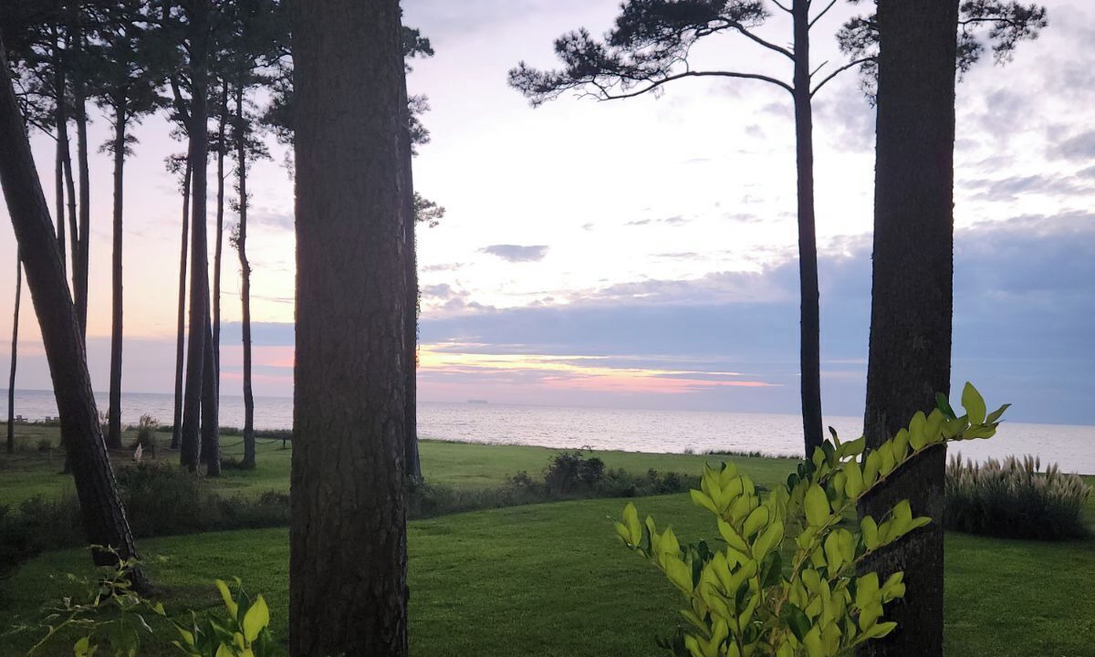 Photo of Outdoor in Davis Wharf