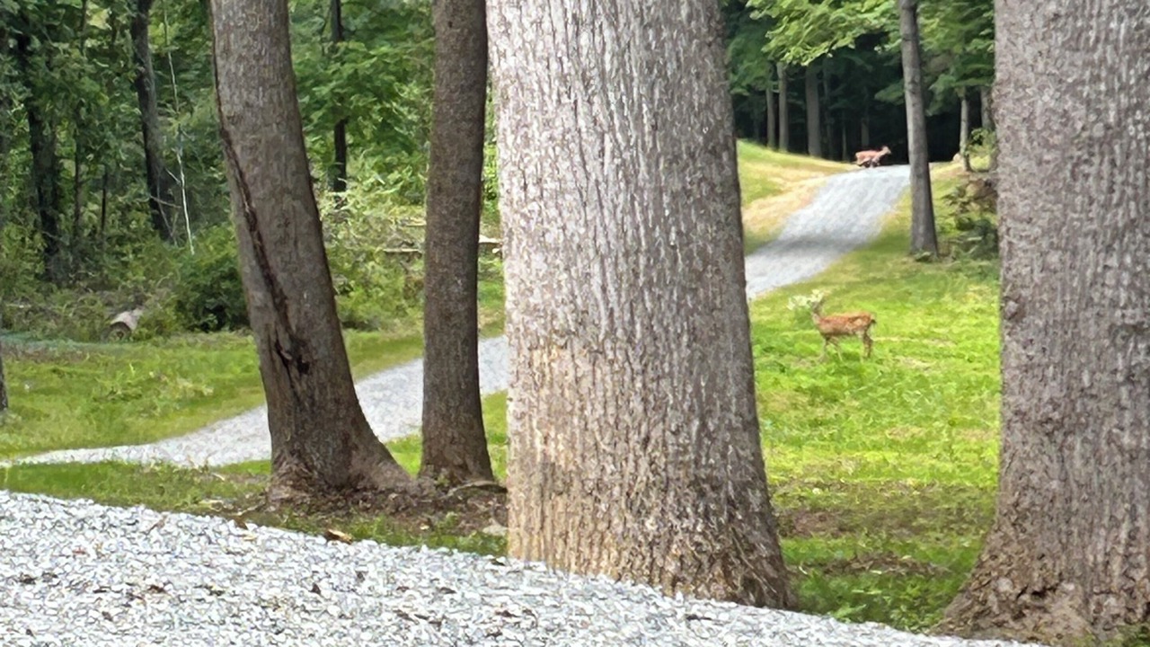 Photo of Outdoor in Beaverdam