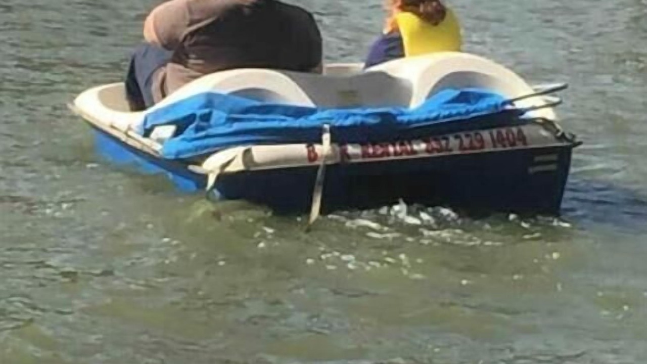 Photo of Others in Onalaska