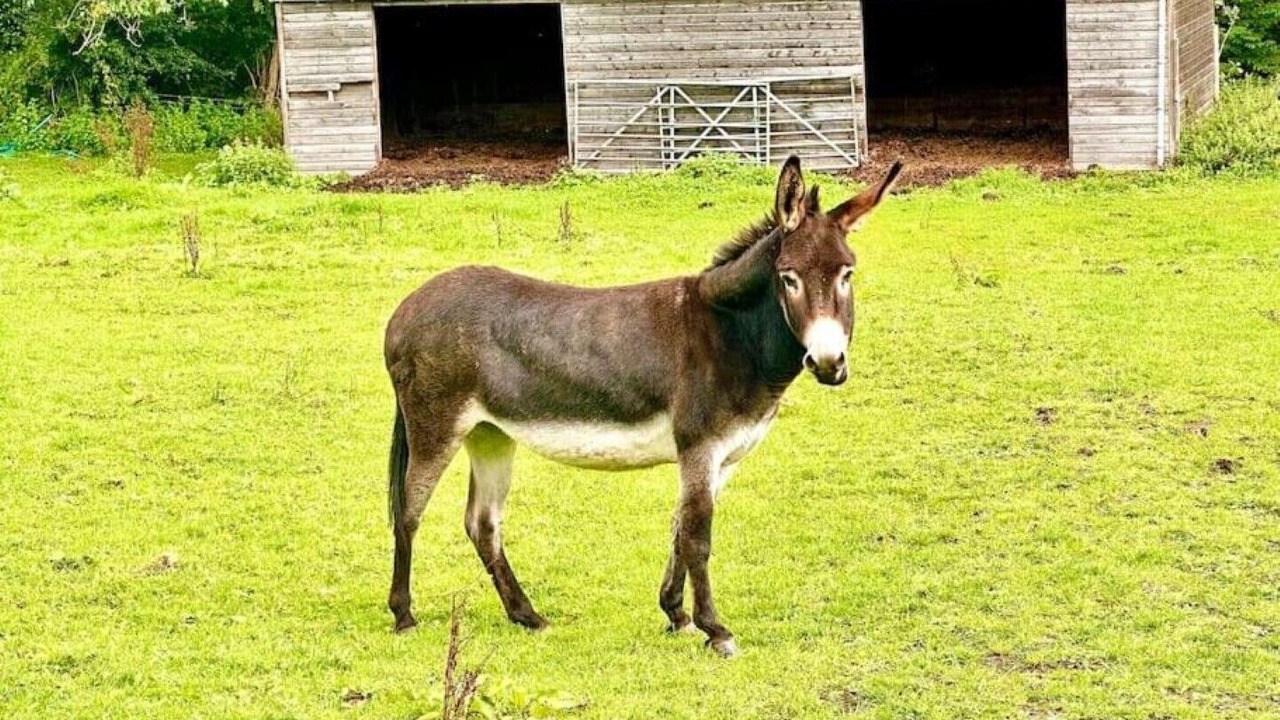 Photo of Outdoor in Tredunnock