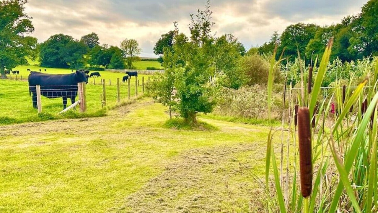 Photo of Outdoor in Tredunnock