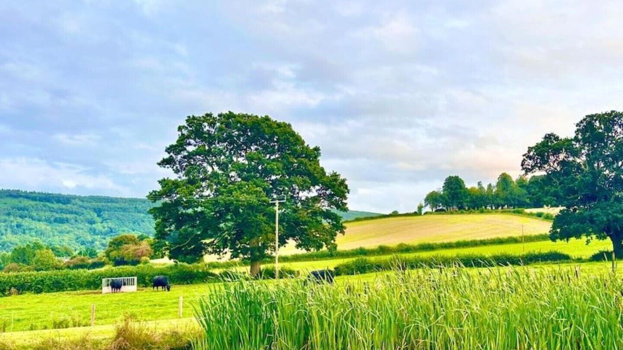 Photo of Others in Tredunnock